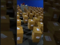 بيكيني مثير قطعة واحدة ثوب السباحة مطابقة اللون للمرأة المحافظة قطعة واحدة ملابس السباحة